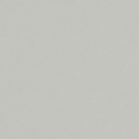 Linoleum grigio chiaro su misura | 4177 Vapour | Forbo Linoleum