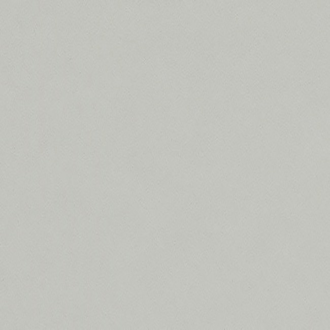 Linoleum grigio chiaro su misura | 4177 Vapour | Forbo Linoleum