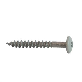 Grigio Viti 4,0 x 30 mm TX20 - 50 pz.